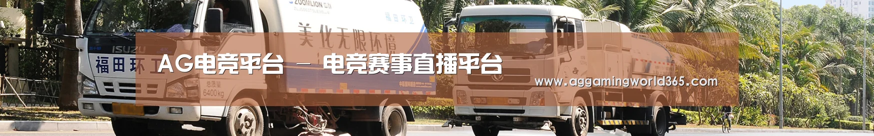 公司荣誉
