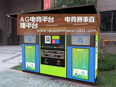 成功案例标题一