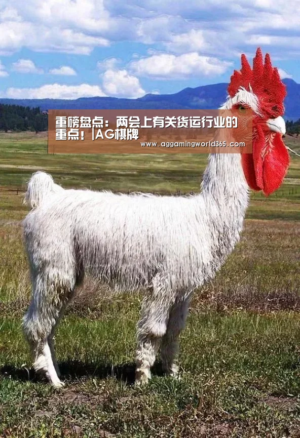 AG登录