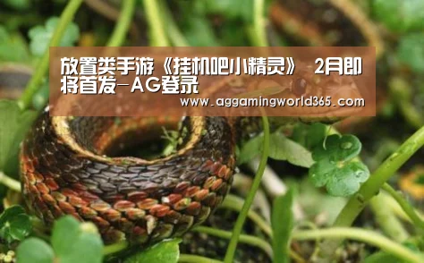 AG登录