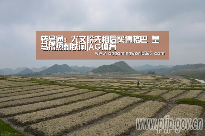 转会通:尤文盼先租后买博格巴 皇马撬热刺铁闸|AG体育(图1) AG棋牌
