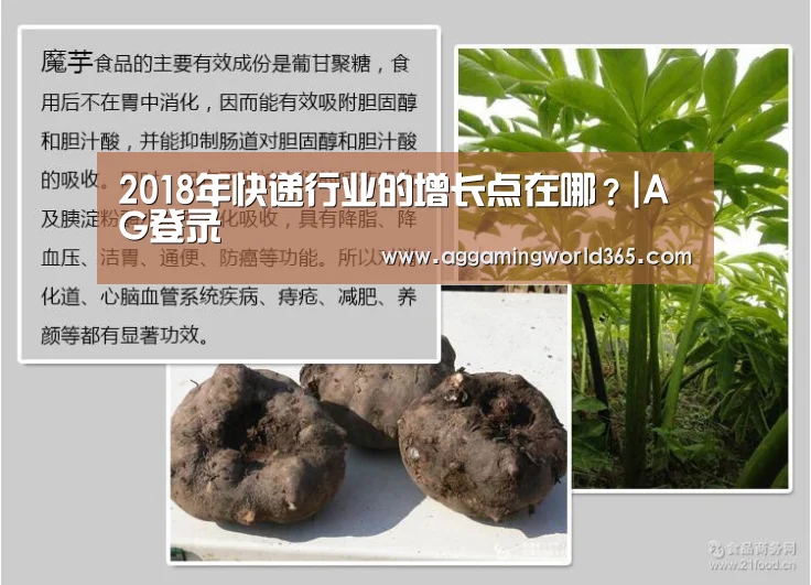 2018年快递行业的增长点在哪?|AG登录(图1) AG登录